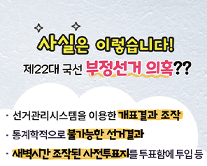 [사실은 이렇습니다]제22대 국선 부정선거 의혹??